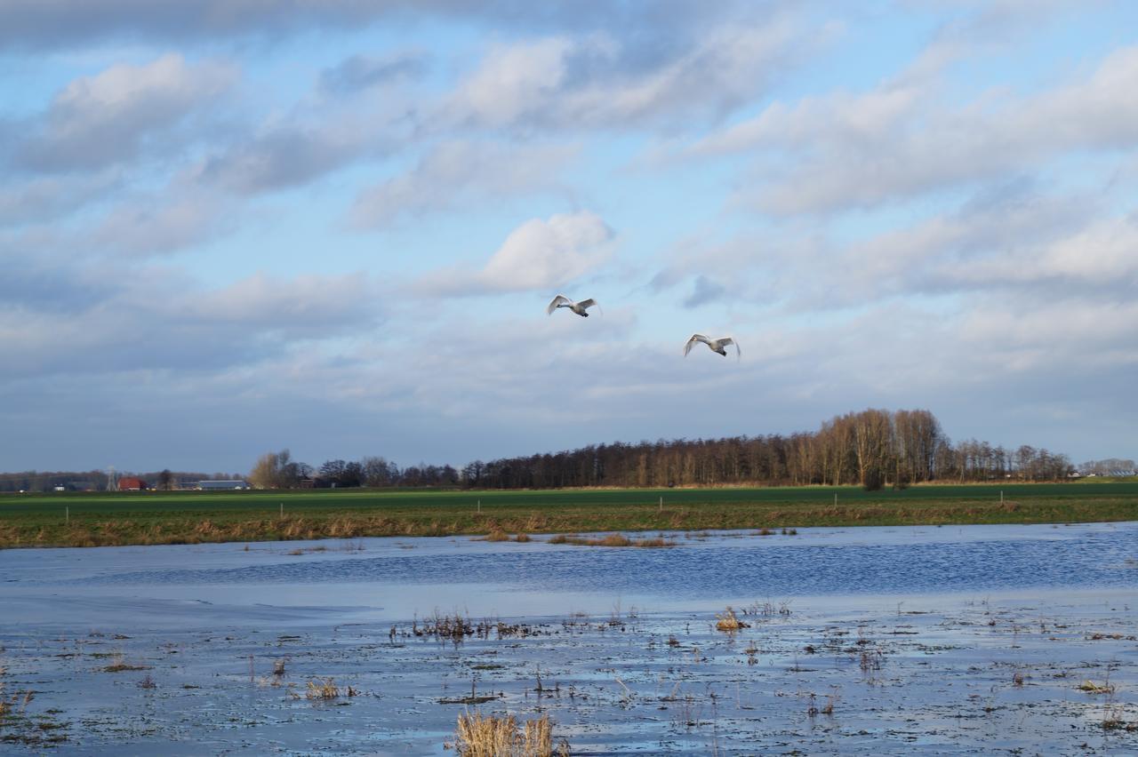 Het Tolhuis Bed and Breakfast Overschild Esterno foto